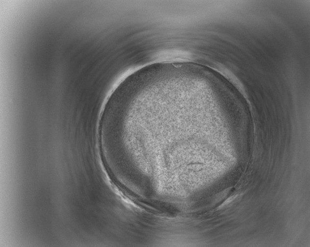 X0000063531488200602032123