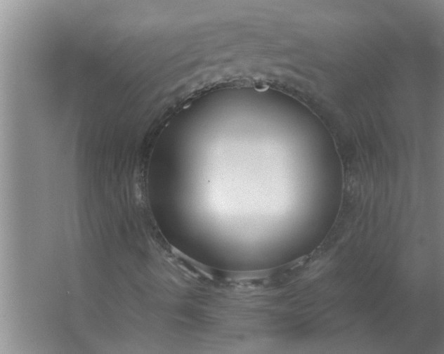 X0000063531490200602032122