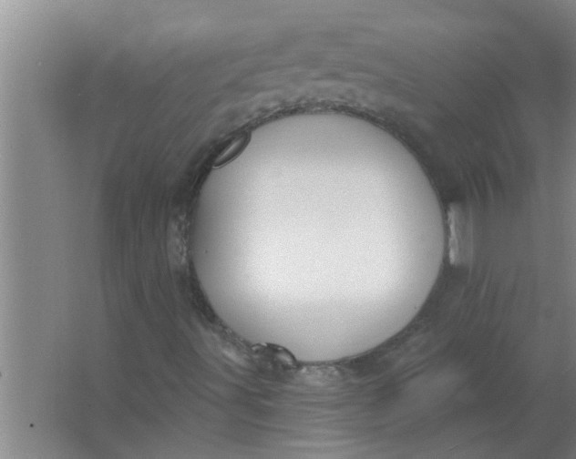 X0000063531491200602032122