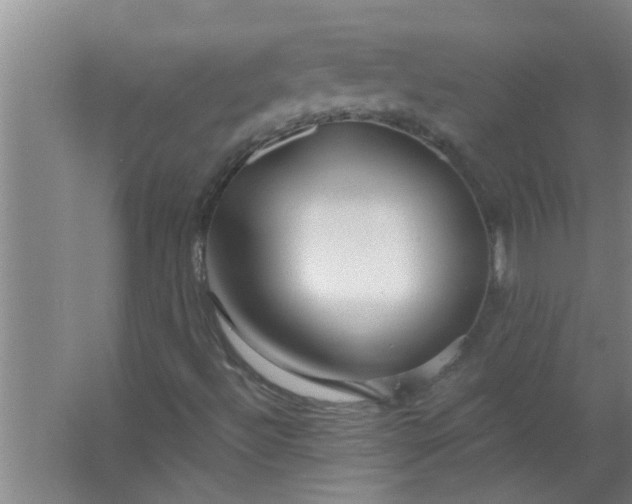 X0000063531492200602032122