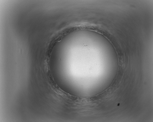 X0000063531493200602032122