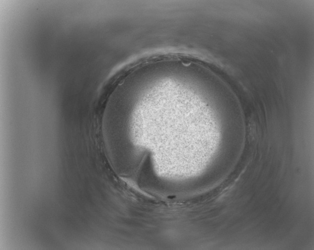 X0000063531494200602032122