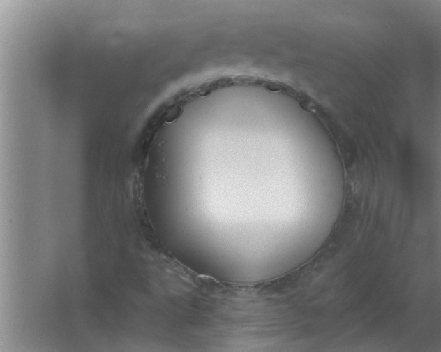 X0000063531495200602032122