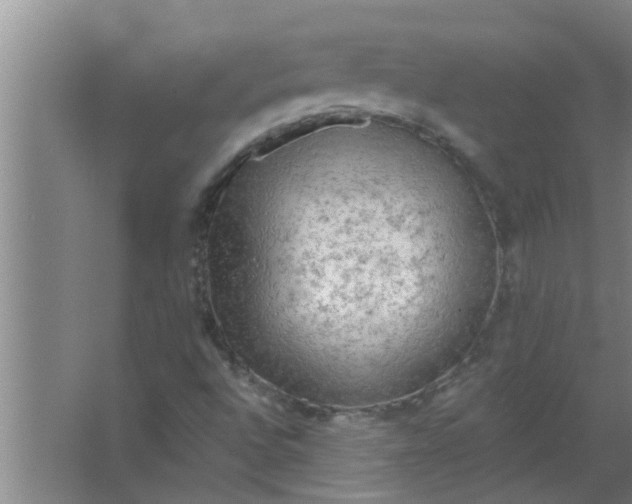 X0000063531496200602032122