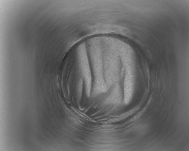 X0000063531497200602032122