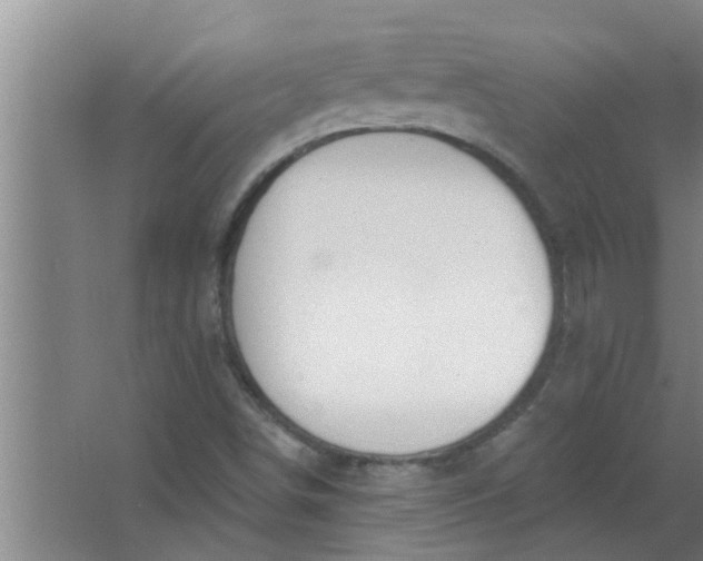 X0000063531498200602032122