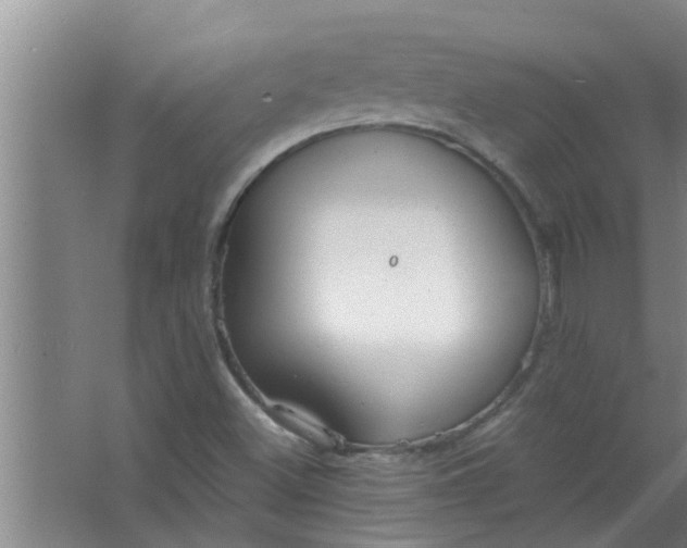 X0000063531500200602032122