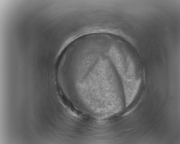 X0000063531501200602032122