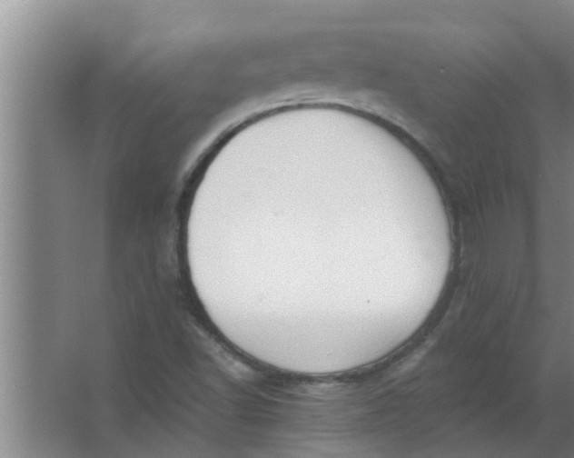 X0000063531502200602032122