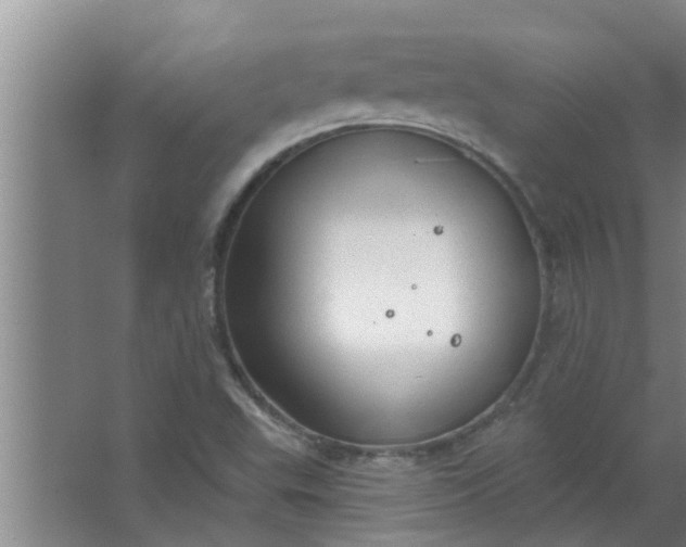 X0000063531503200602032122