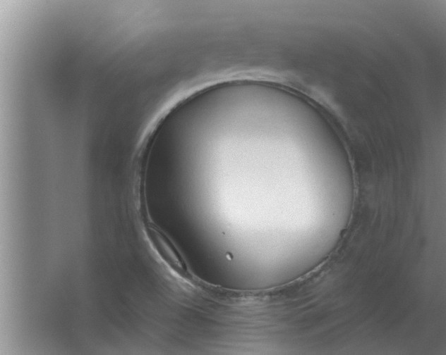 X0000063531504200602032122