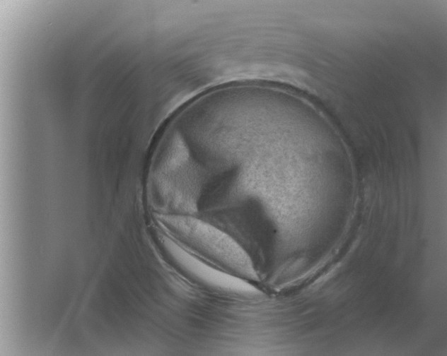 X0000063531505200602032122