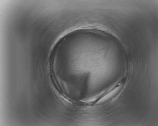 X0000063531506200602032122