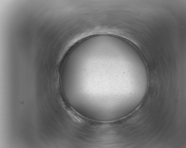 X0000063531507200602032122