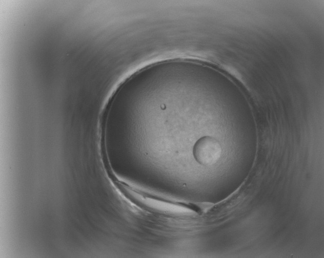 X0000063531508200602032122