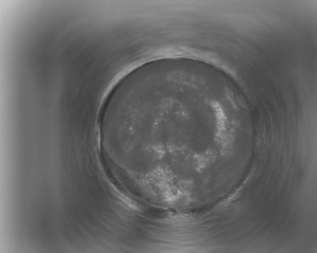 X0000063531509200602032122