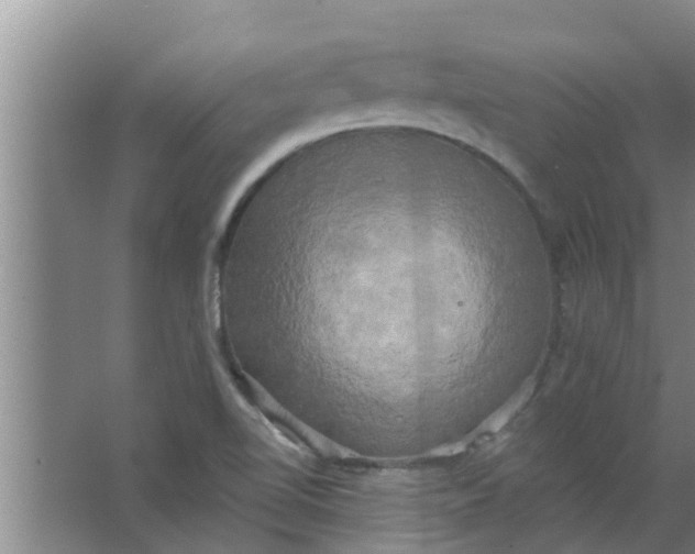 X0000063531510200602032122