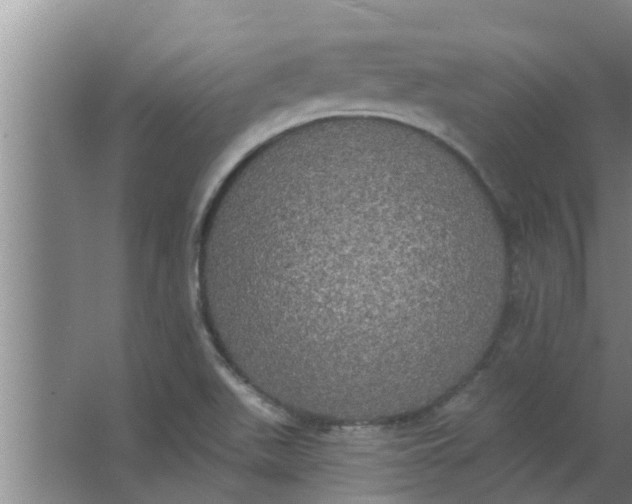 X0000063531511200602032122