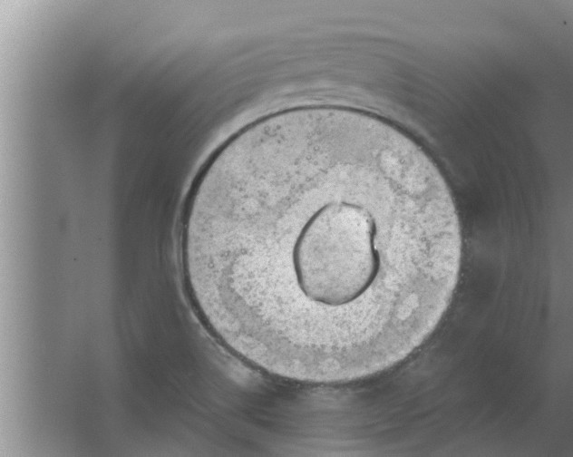 X0000063531514200602032122