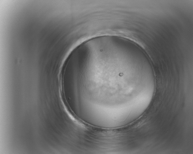 X0000063531515200602032122