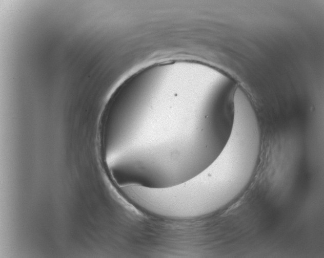 X0000063531518200602032122