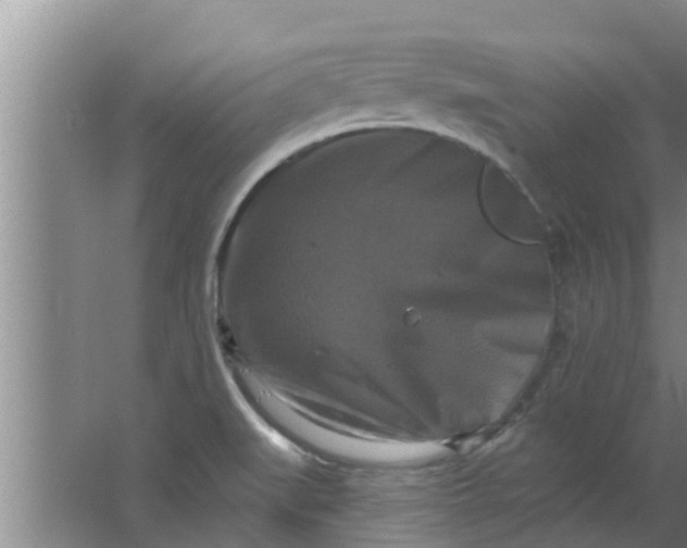 X0000063531519200602032122