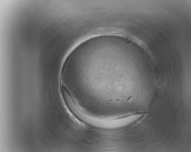 X0000063531520200602032122