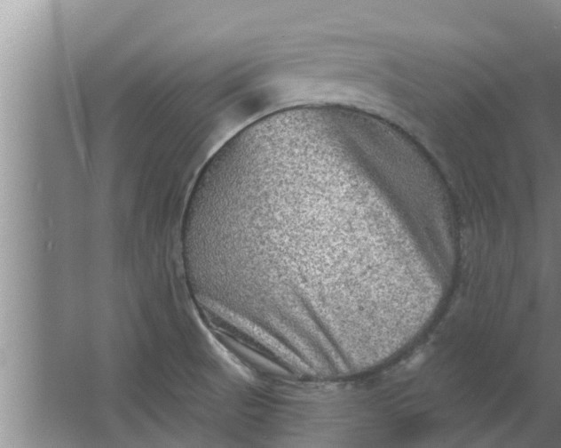 X0000063531521200602032122