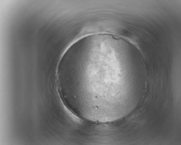 X0000063531524200602032123