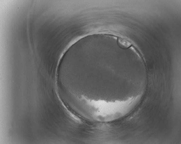 X0000063531525200602032123