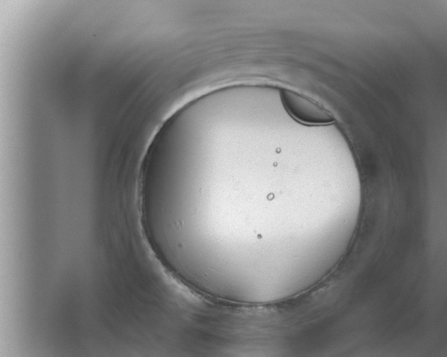 X0000063531526200602032123