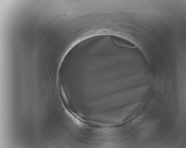 X0000063531527200602032123