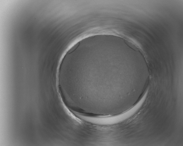 X0000063531528200602032123