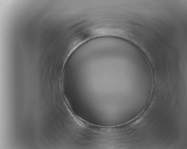 X0000063531529200602032123