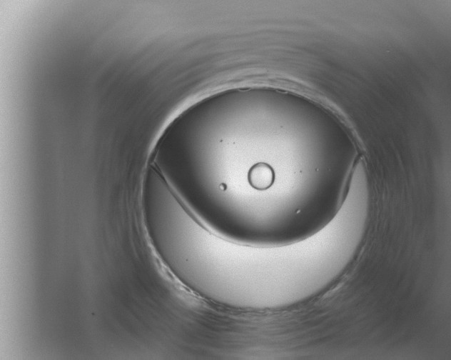 X0000063531530200602032123