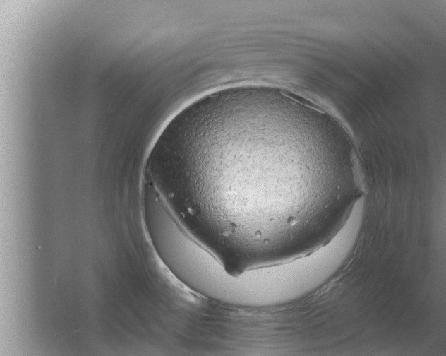 X0000063531532200602032123