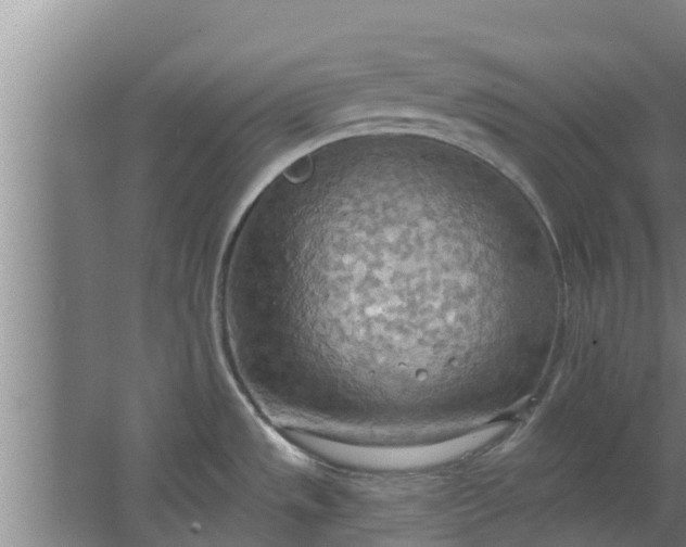 X0000063531533200602032123