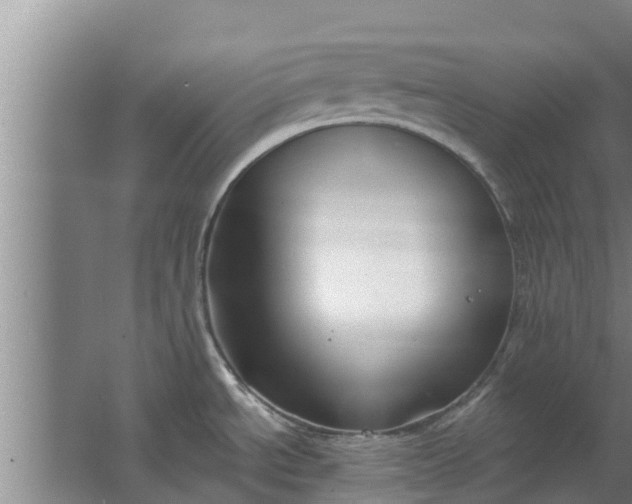 X0000063531534200602032123