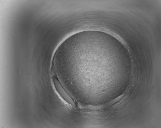 X0000063531536200602032123