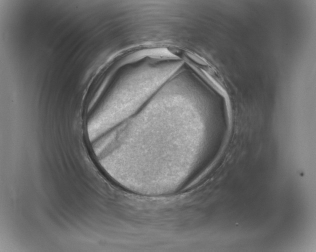 X0000063530002200602102029