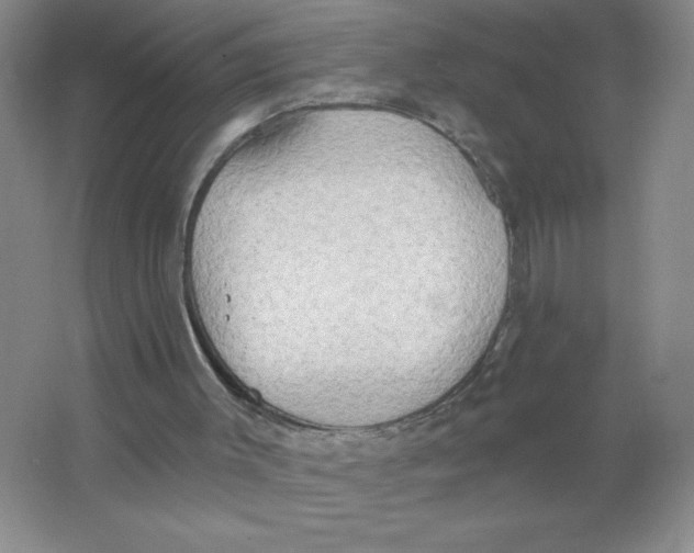 X0000063530003200602102029