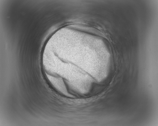 X0000063530006200602102029