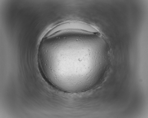 X0000063530007200602102029