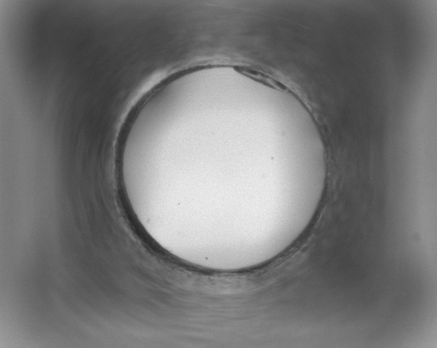 X0000063530008200602102029