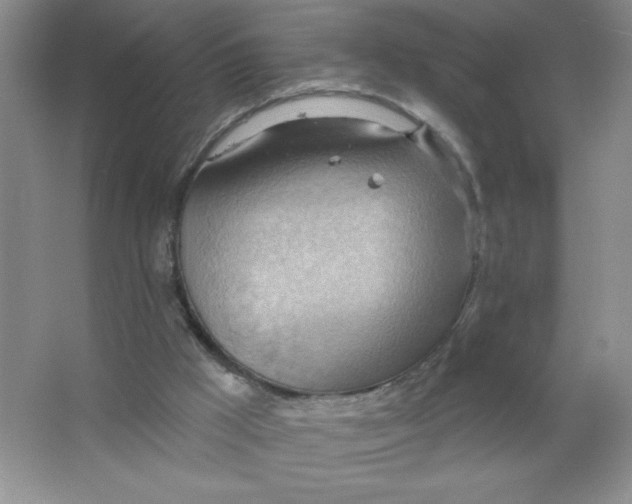 X0000063530009200602102029