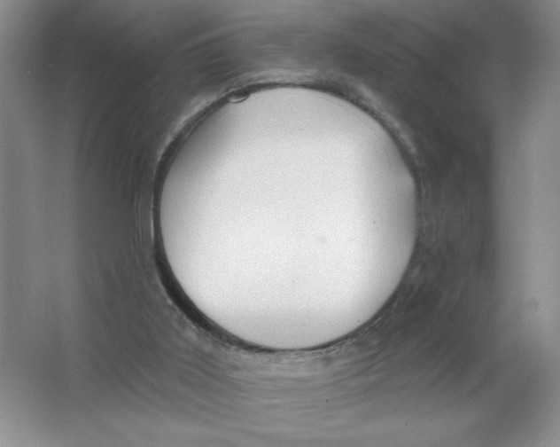 X0000063530011200602102029