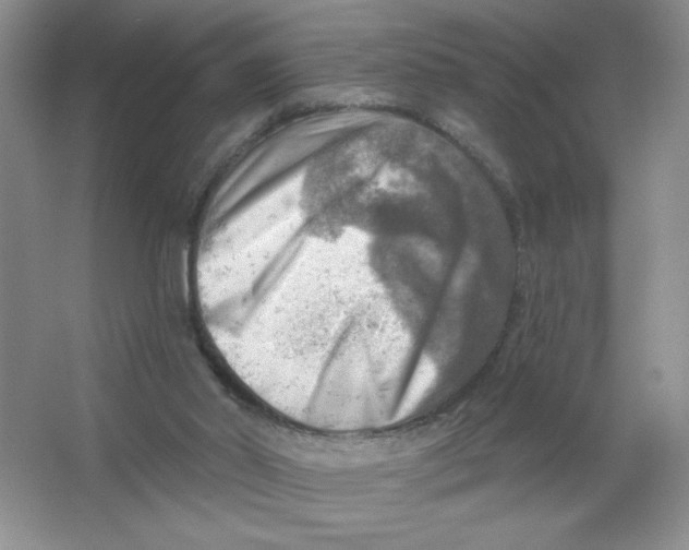 X0000063530014200602102029