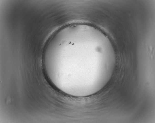 X0000063530015200602102029