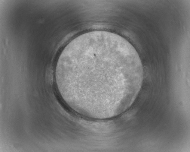 X0000063530016200602102029