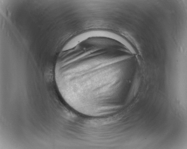 X0000063530017200602102029